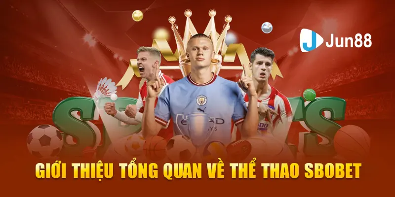 Tổng quan thông tin cơ bản về thể thao Sbobet